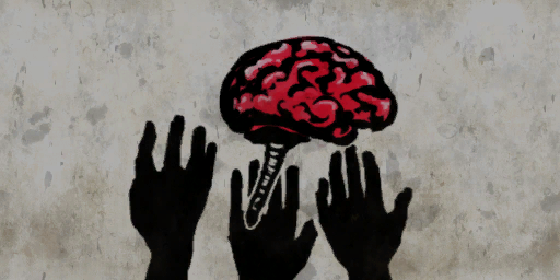 BrainZ Flag